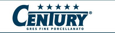 logo-century